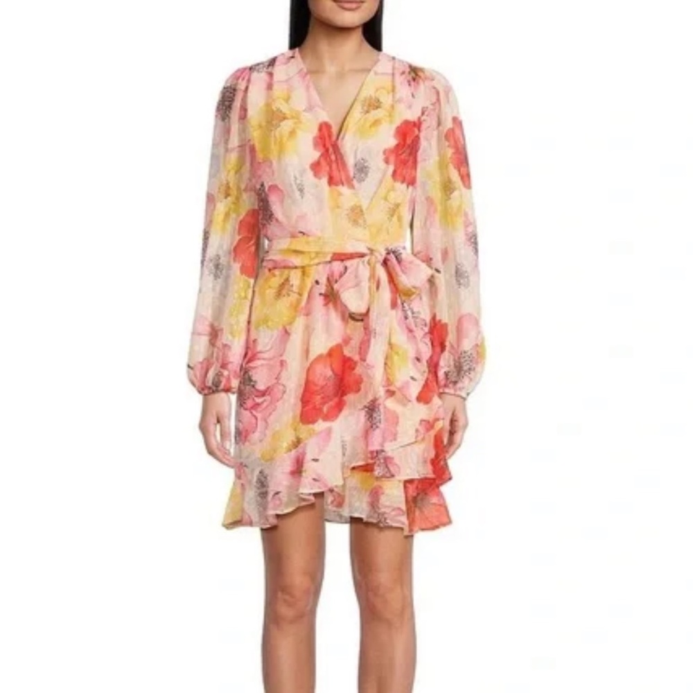 NWT Alex Marie Floral Long Sleeve Dress - size 4